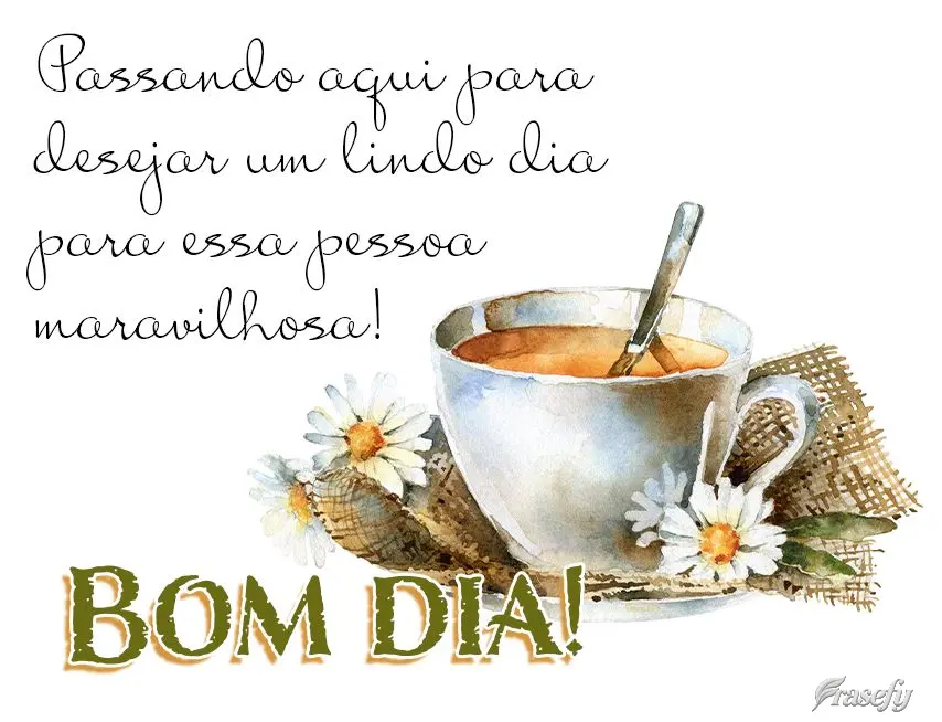 Passando aqui para desejar um lindo dia para essa pessoa maravilhosa! Bom dia!