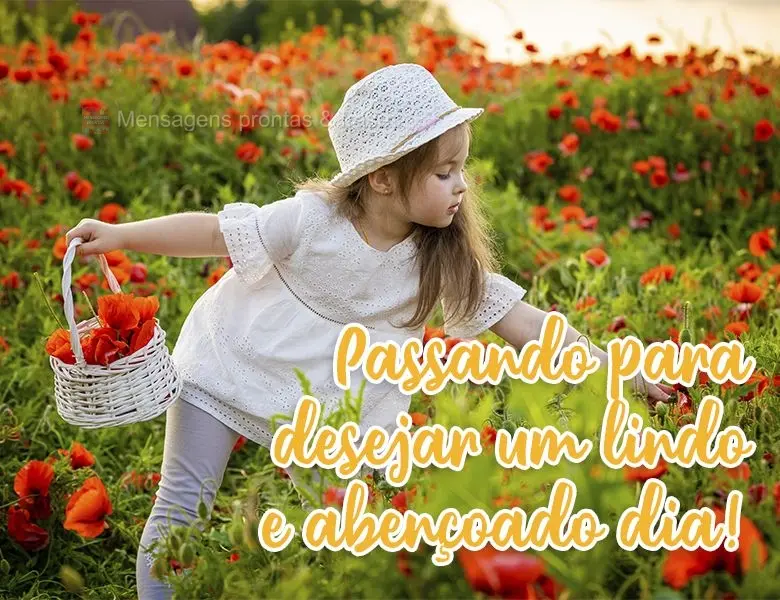 Passando para desejar um lindo e abençoado dia!
