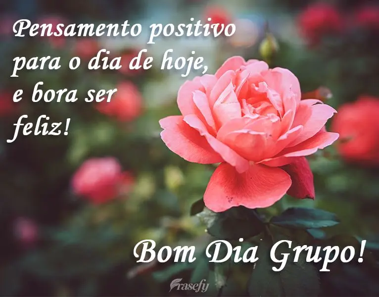 Pensamento positivo para o dia de hoje, e bora ser feliz!
  Bom Dia Grupo!