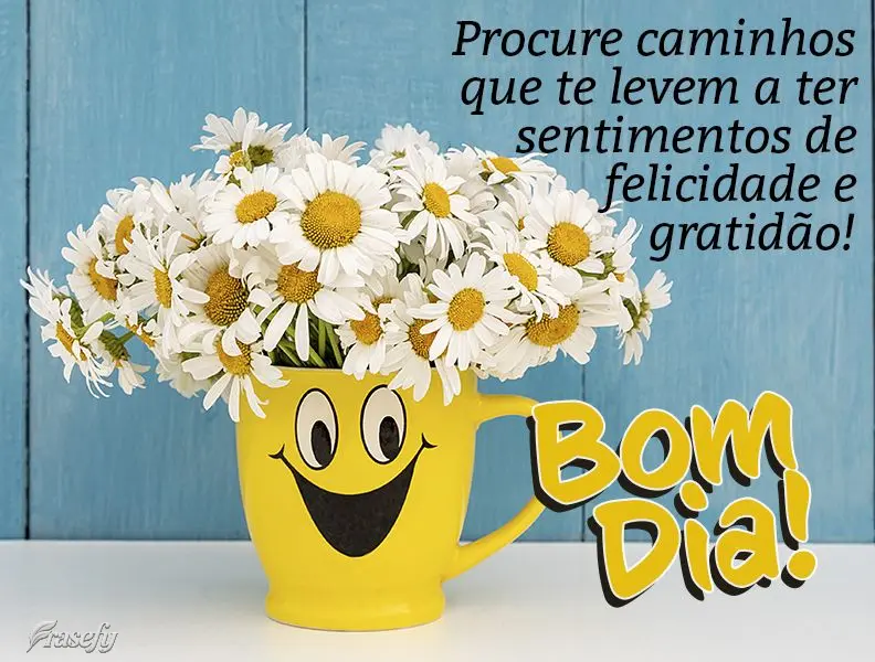 Procure caminhos que te levem a um sentimento de felicidade e gratidão! Bom dia! 