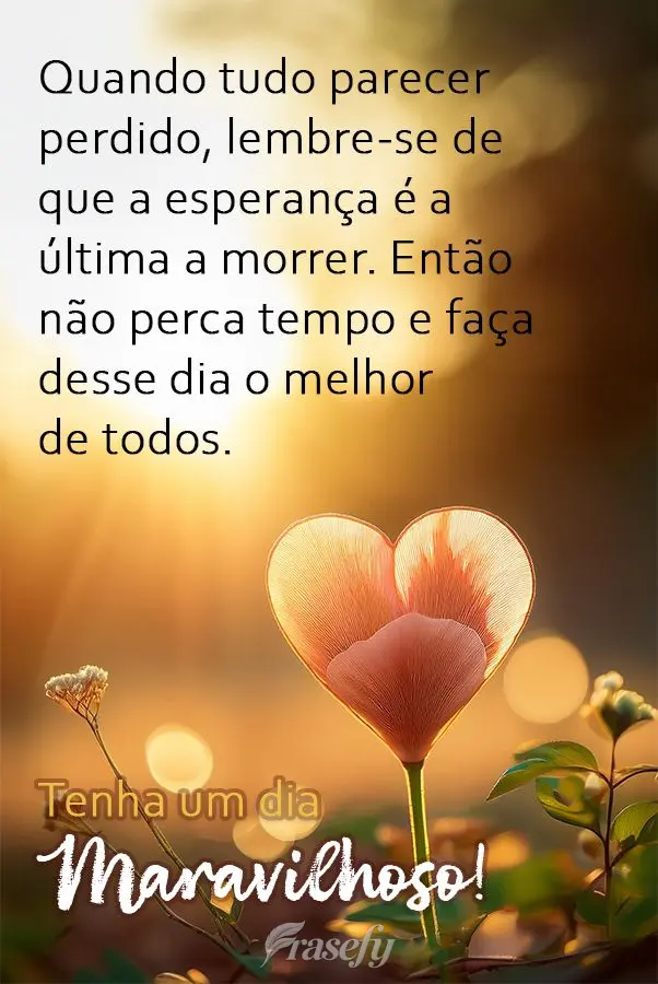 Quando tudo parecer perdido, lembre-se de que a esperança é a última a morrer. Então não perca tempo e faça desse dia o melhor de todos. Tenha um d...