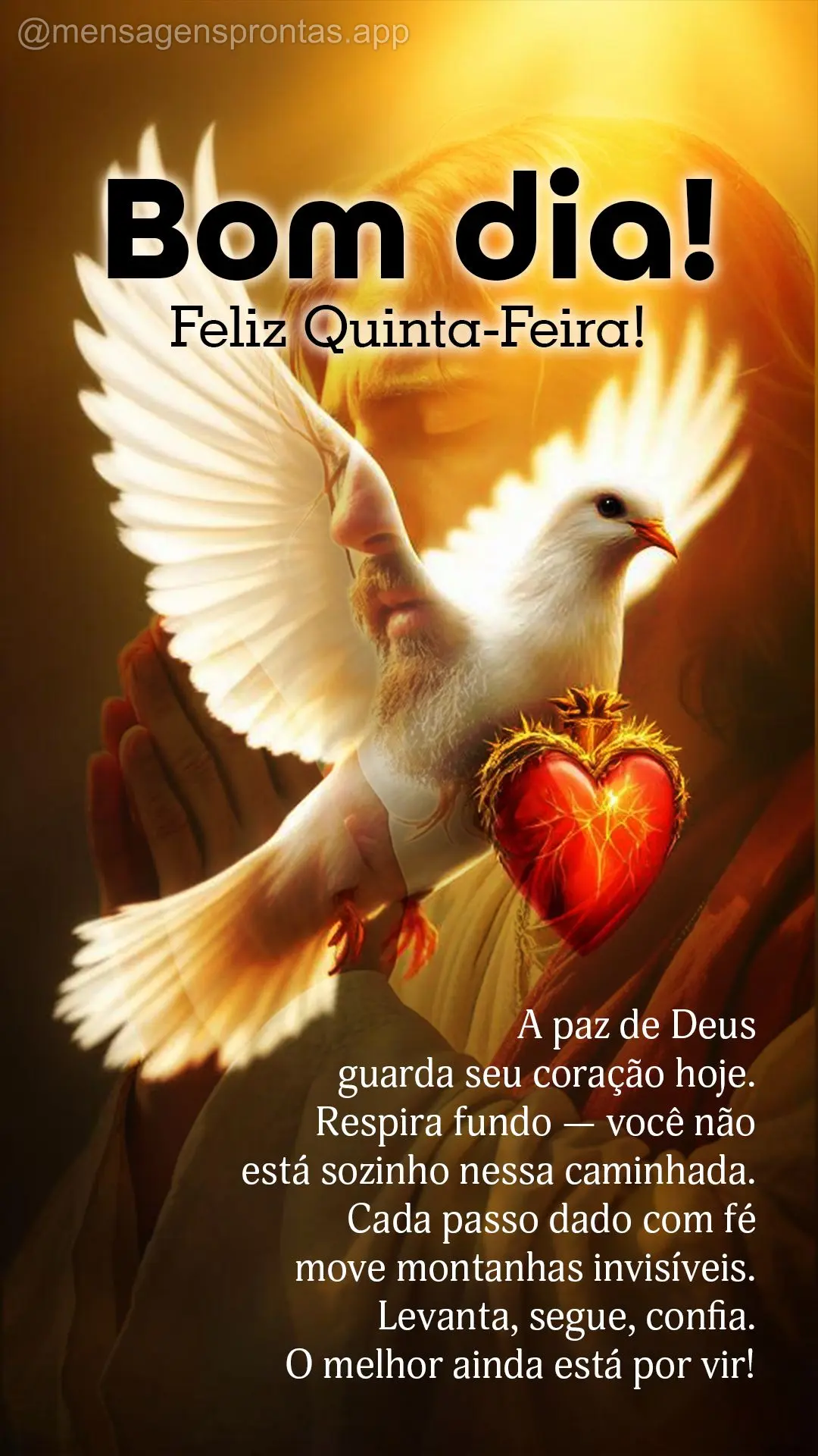 🌅 Bom dia, Quarta-Feira!
A paz de Deus guarda seu coração hoje.
Respira fundo — você não está sozinho nessa caminhada.
Cada passo dado com f...