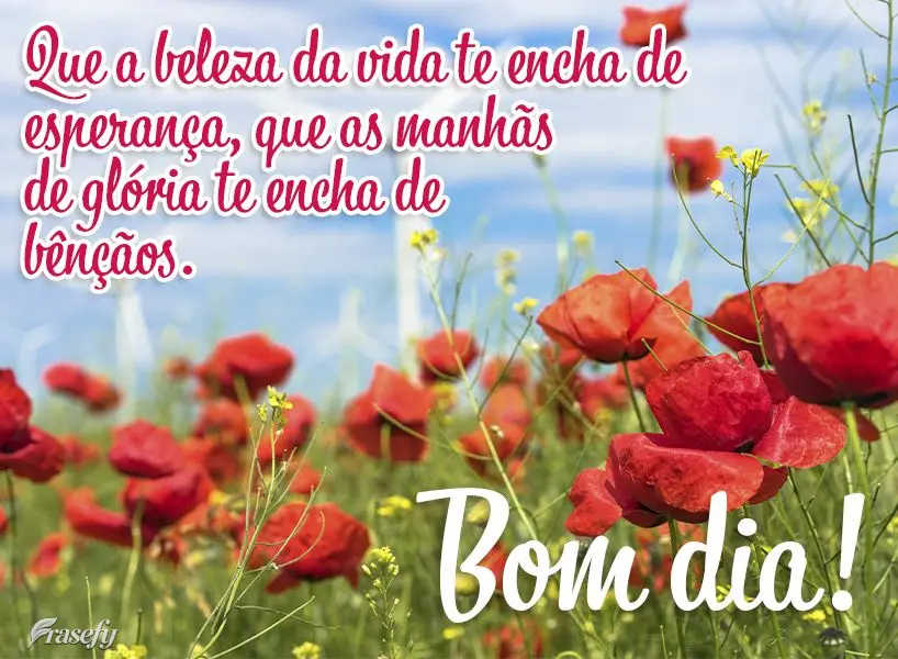 Que a beleza da vida te encha de esperança, que as manhãs de glória te encham de bênçãos. Bom dia!