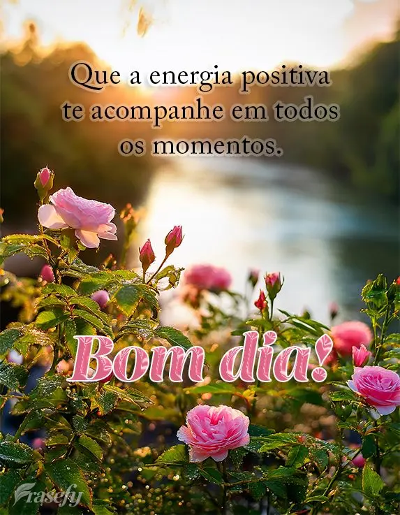 Que a energia positiva te acompanhe em todos os momentos. Bom dia!