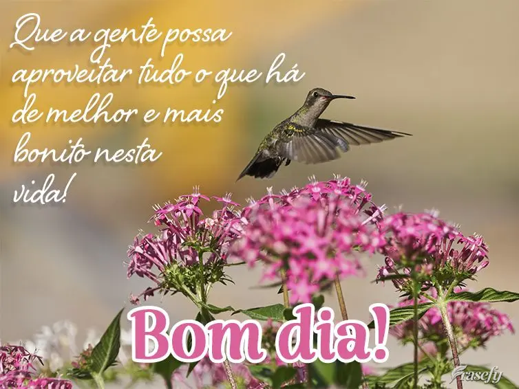 Que a gente possa aproveitar tudo o que há de melhor e mais bonito nesta vida! Bom dia!