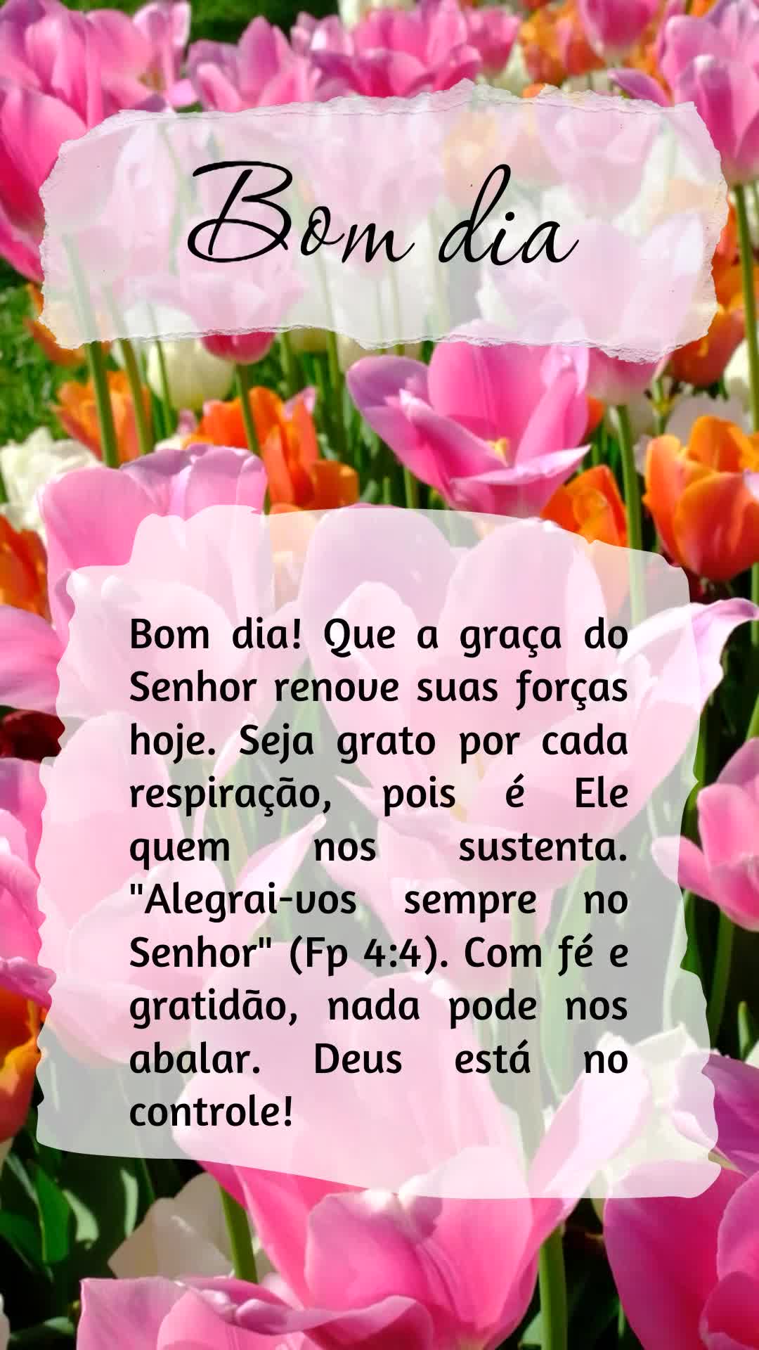 Bom dia! Que a graça do Senhor renove suas forças hoje. Seja grato por cada respiração, pois é Ele quem nos sustenta. "Alegrai-vos sempre no Senhor"...