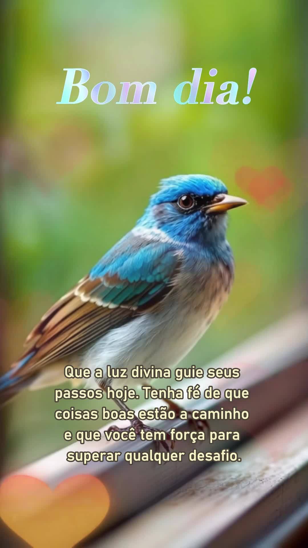 Que a luz divina guie seus passos hoje. Tenha fé de que coisas boas estão a caminho e que você tem força para superar qualquer desafio. Bom dia!