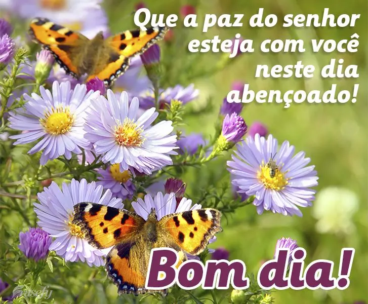 Que a paz do Senhor esteja com você neste dia abençoado! Bom dia!