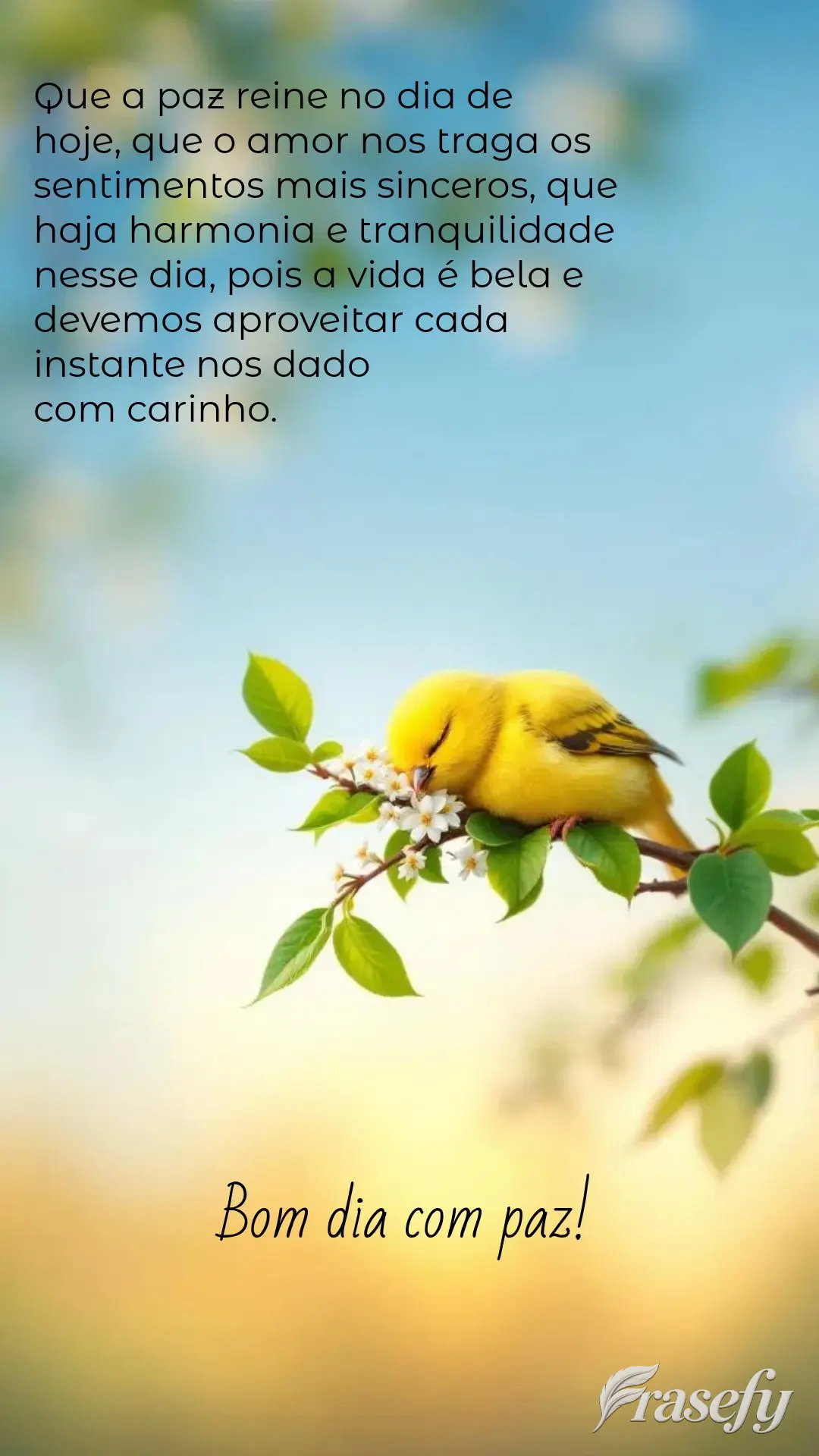 Que a paz reine no dia de 
hoje, que o amor nos traga os sentimentos mais sinceros, que haja harmonia e tranquilidade nesse dia, pois a vida é bela e d...