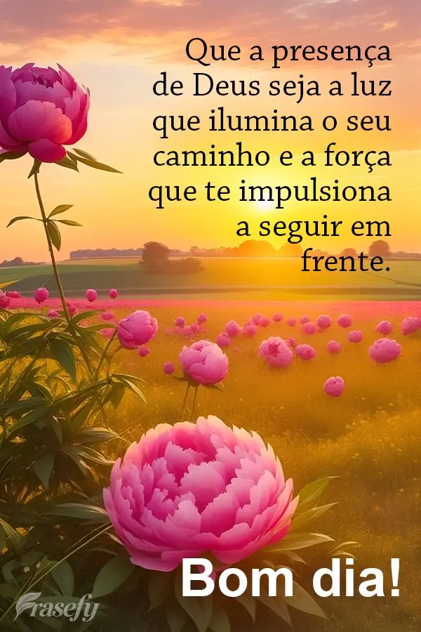 Que a presença de Deus seja a luz que ilumina a sua noite e a força que te impulsiona a seguir em frente. Bom dia!