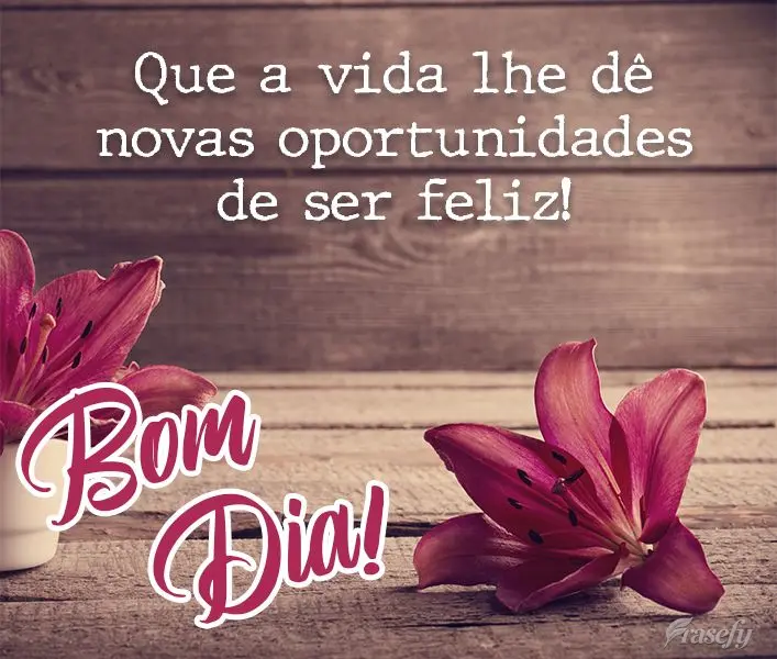 Que a vida lhe dê novas oportunidades de ser feliz! Bom dia! 