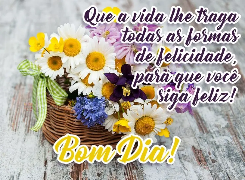 Que a vida lhe traga todas as formas de felicidade, para que você siga feliz! 
 Bom Dia!