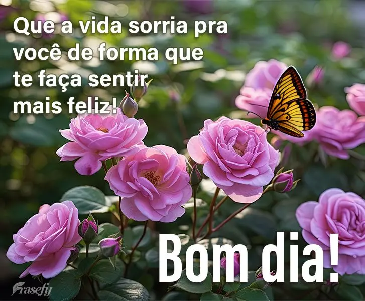 Que a vida sorria pra você de forma que te faça sentir mais feliz! Bom dia!