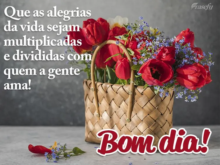 Que as alegrias da vida sejam multiplicadas e divididas com quem a gente ama! Bom dia! 