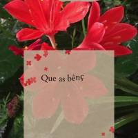 Que as bênçãos do dia venham para alegrar o seu dia, encher sua vida de gratidão e fazer mais feliz o seu coração! Bom dia!