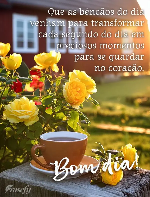 Que as bênçãos do dia venham para transformar cada segundo do dia em preciosos momentos para se guardar no coração.  Bom dia!