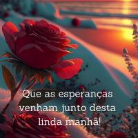 Que as esperanças venham junto desta linda manhã! Nos dando coragem e nos mantendo aquecidos e esperançosos. Porque quem confia em Deus, não faltará...