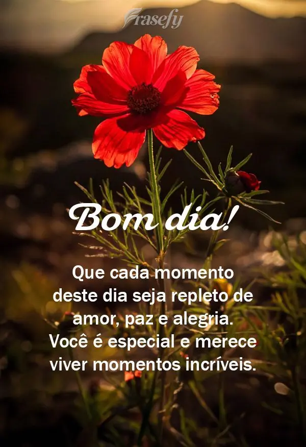 Que cada momento deste dia seja repleto de amor, paz e alegria. Você é especial e merece viver momentos incríveis. Bom dia!