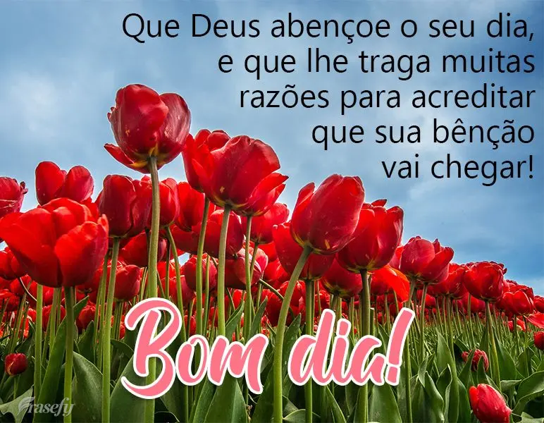 Que Deus abençoe o seu dia, e que lhe traga muitas razões para acreditar que sua bênção vai chegar! Bom dia! 
