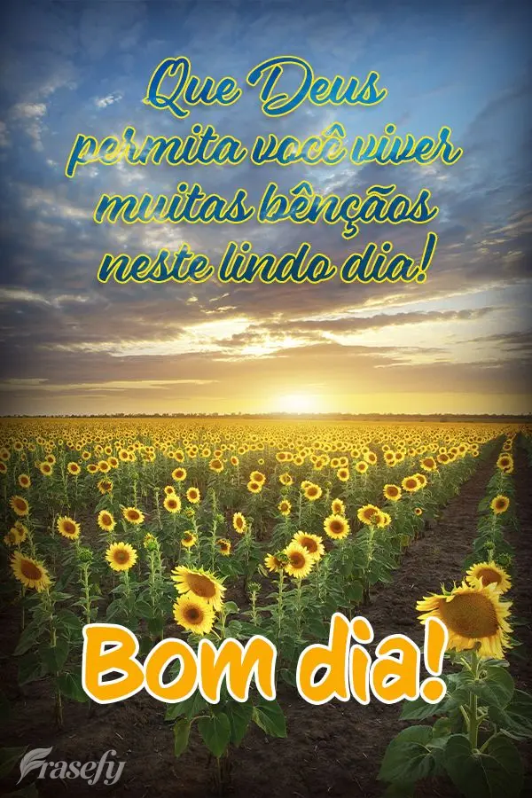 Que Deus permita você viver muitas bênçãos neste lindo dia! Bom dia!