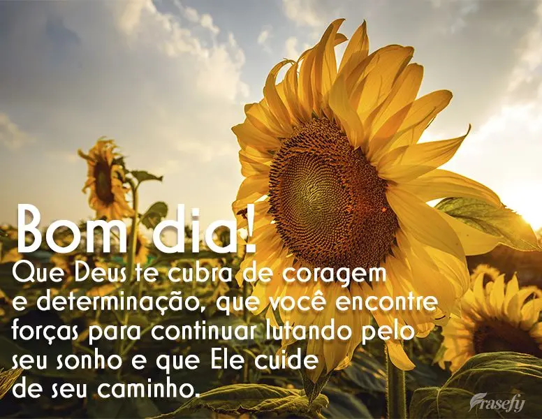 Que Deus te cubra de coragem e determinação, que você encontre forças para continuar lutando pelo seu sonho e que Ele cuide de seu caminho. Bom dia!...