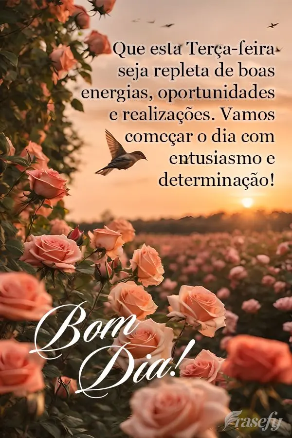 Que esta terça-feira seja repleta de boas energias, oportunidades e realizações. Vamos começar o dia com entusiasmo e determinação! Bom dia!