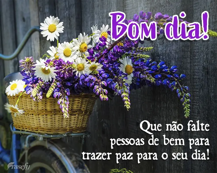 Que não falte pessoas de bem para trazer paz para o seu dia! Bom dia!