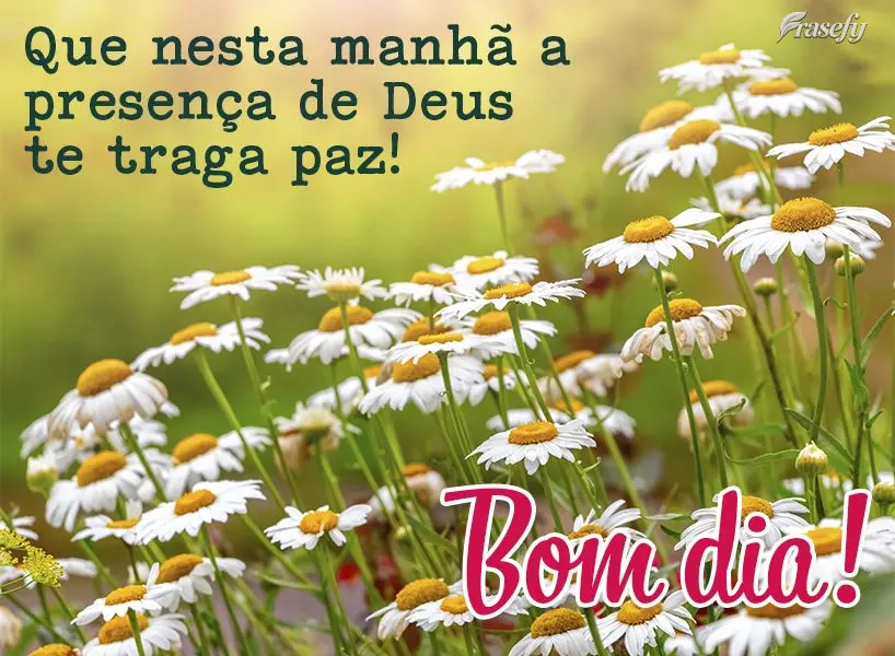 Que nesta manhã a presença de Deus te traga paz! Bom dia!