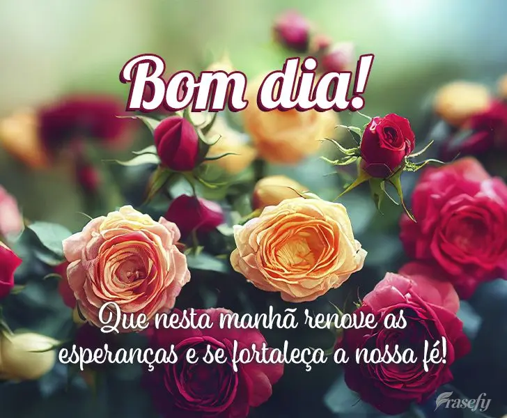 Que nesta manhã renove as esperanças e se fortaleça a nossa fé! Bom dia!