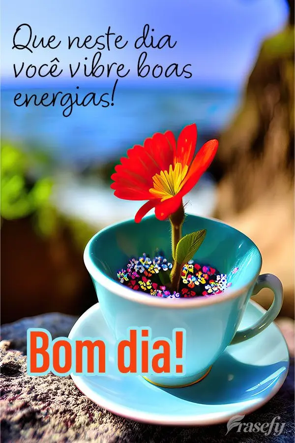 Que neste dia você vibre boas energias! Bom dia!