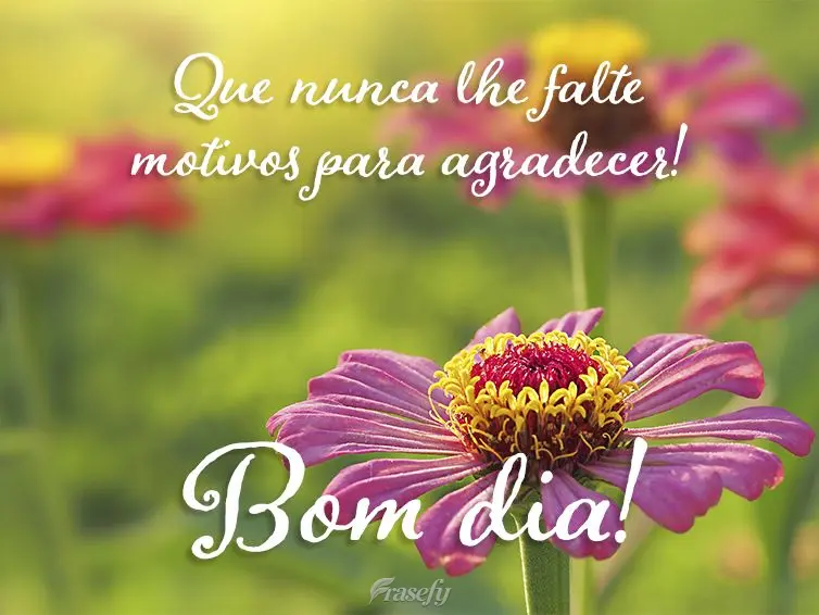 Que nunca lhe falte motivos para agradecer! Bom dia!