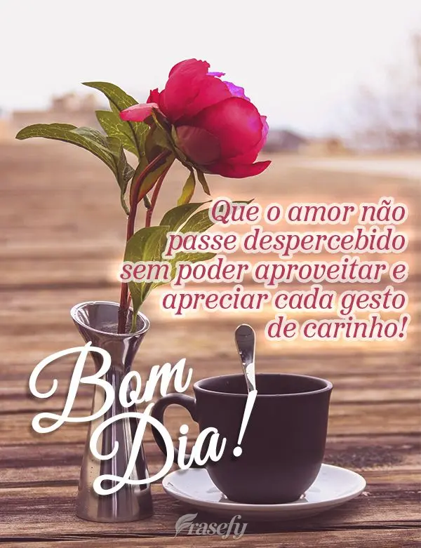 Que o amor não passe despercebido sem poder aproveitar e apreciar cada gesto de carinho! Bom dia!