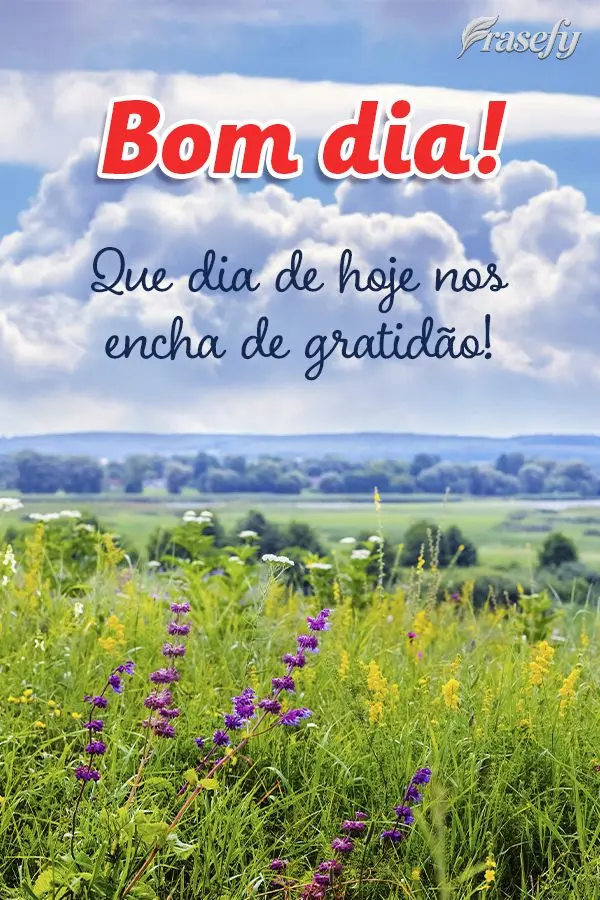 Que o dia de hoje nos encha de gratidão! Bom dia!