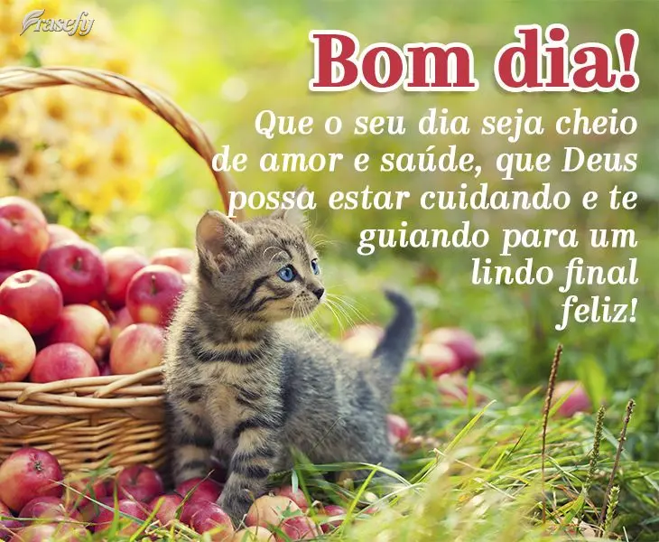Que o seu dia seja cheio de amor e saúde, que Deus cuide e te guie para um lindo final feliz! Bom dia!