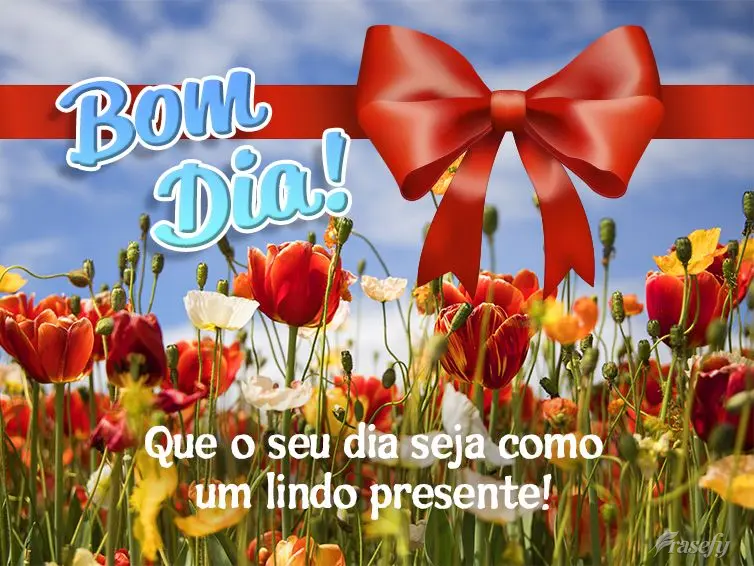 Que o seu dia seja como um lindo presente! Bom dia!