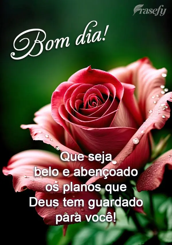 Que seja belo e abençoado os planos que Deus tem guardado para você! Bom dia!