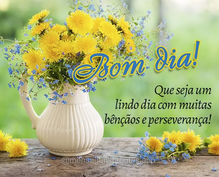 Que seja um lindo dia com muitas bênçãos e perseverança! Bom dia!
