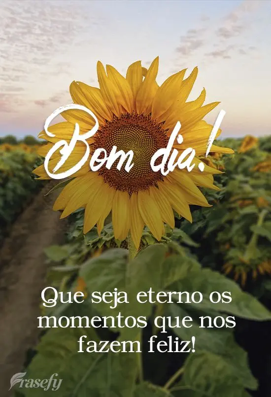 Que sejam eternos os momentos que nos fazem feliz!
 Bom dia! 