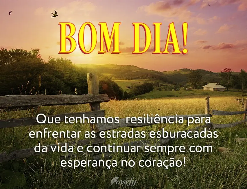 Que tenhamos resiliência para enfrentar as estradas esburacadas da vida e continuar sempre com esperança no coração! Bom dia!