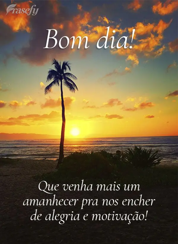 Que venha mais um amanhecer pra nos encher de alegria e motivação! Bom dia!