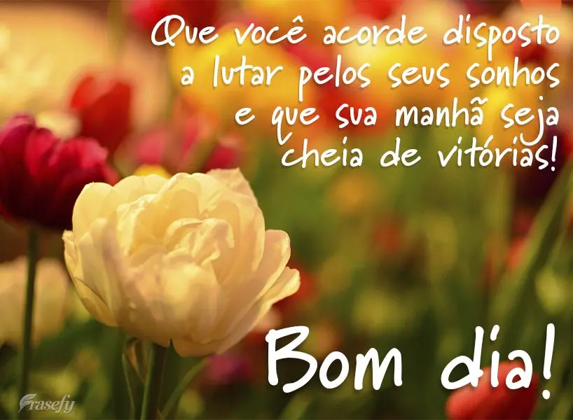 Que você acorde disposto a lutar pelos seus sonhos e que sua manhã seja cheia de vitórias! Bom dia!