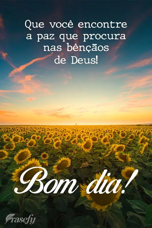 Que você encontre a paz que procura nas bênçãos de Deus!  Bom dia