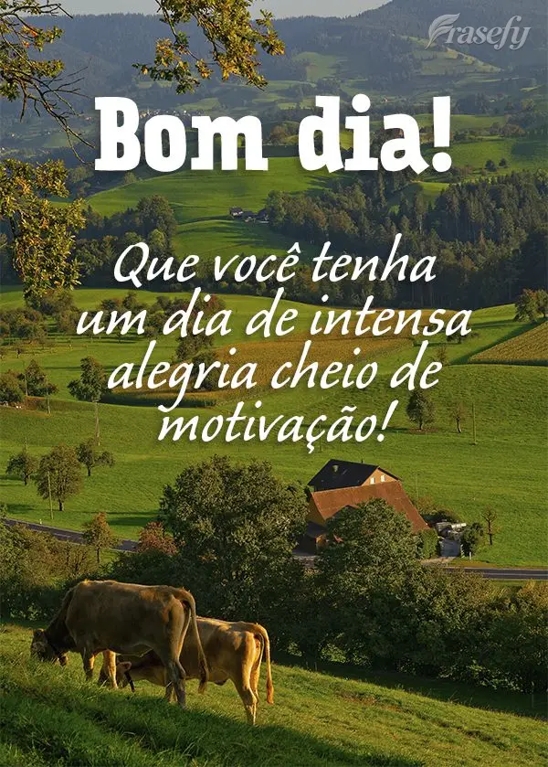 Que você tenha um dia de intensa alegria, cheio de motivação! Bom dia! 