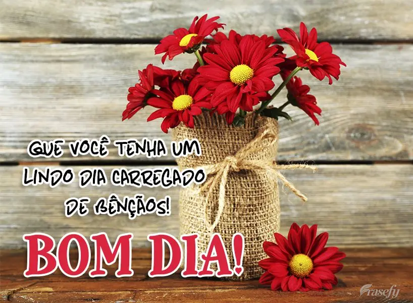 Que você tenha um lindo dia carregado de bênçãos! Bom dia! 