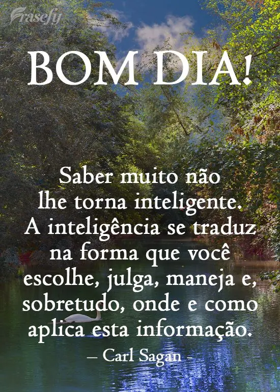 Saber muito não lhe torna inteligente. A inteligência se traduz na forma que você escolhe, julga, maneja e, sobretudo, onde e como aplica esta informa...