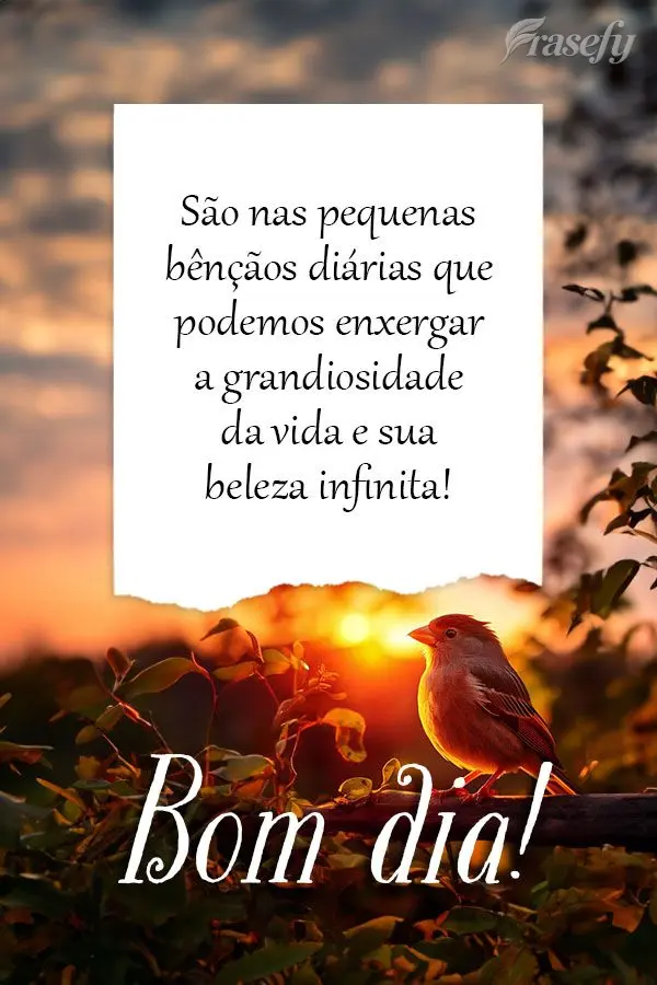 São nas pequenas bênçãos diárias que podemos enxergar a grandiosidade da vida e sua beleza infinita!  Bom dia!