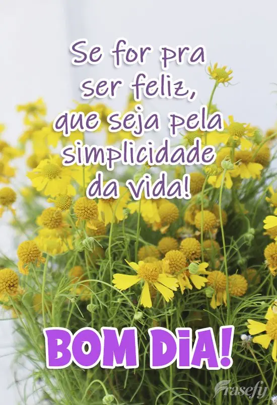 Se for pra ser feliz, que seja pela simplicidade da vida! 
 Bom dia!
