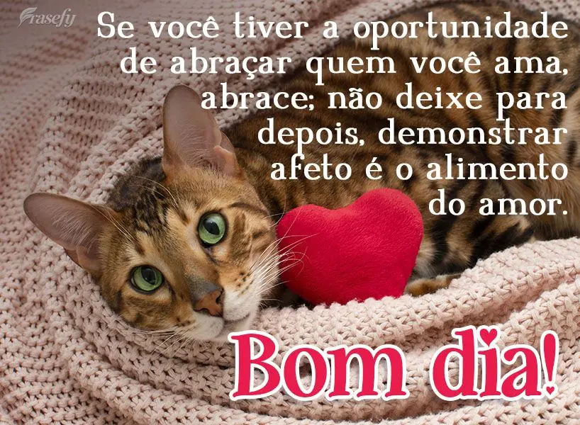Se você tiver a oportunidade de abraçar quem você ama, abrace; não deixe para depois! Demonstrar afeto é o alimento do amor. Bom dia! 