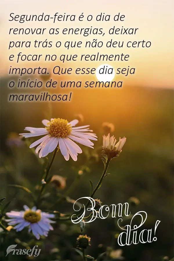 Segunda-feira é o dia de renovar as energias, deixar para trás o que não deu certo e focar no que realmente importa. Que esse dia seja o início de um...