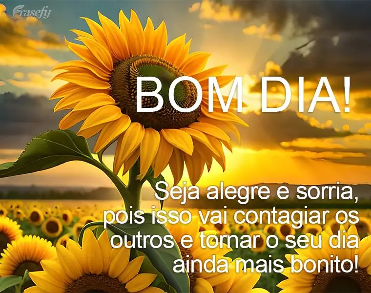 Seja alegre e sorria, pois isso vai contagiar os outros e tornar o seu dia ainda mais bonito! Bom dia!